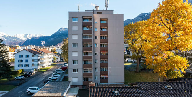 Chur, Plessurgüter